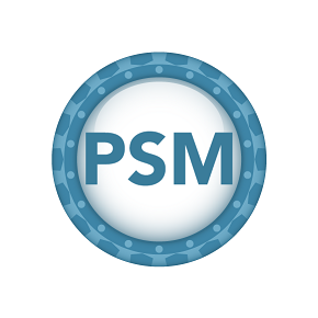 Professional Scrum Master